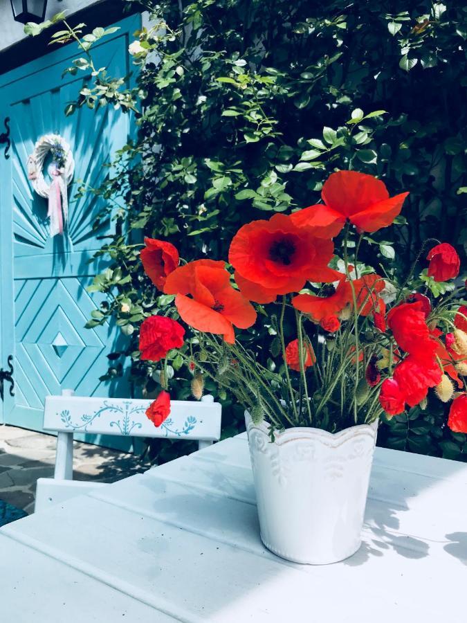 Casa Cu Suflet 호텔 시기쇼아라 외부 사진