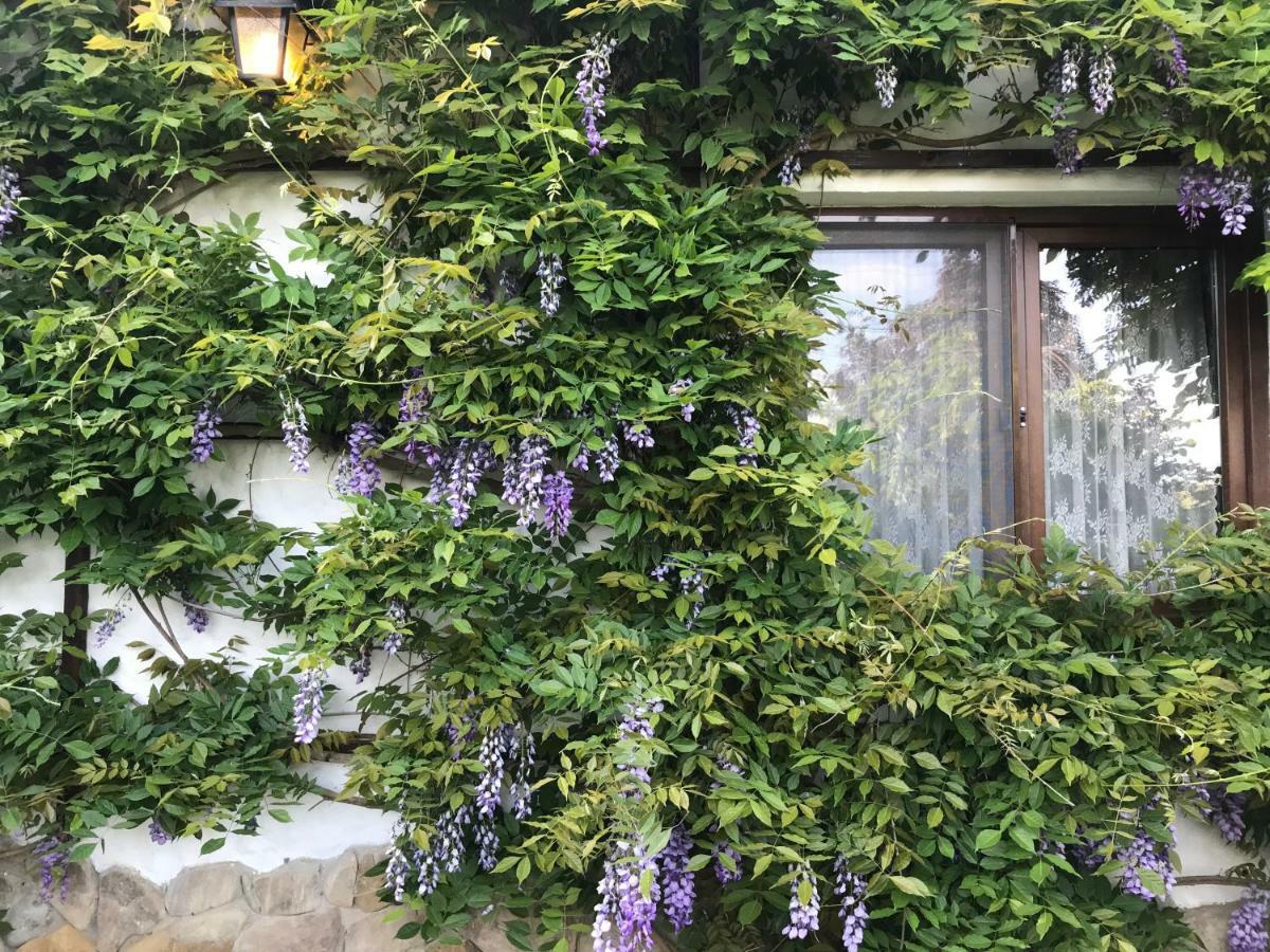 Casa Cu Suflet 호텔 시기쇼아라 외부 사진
