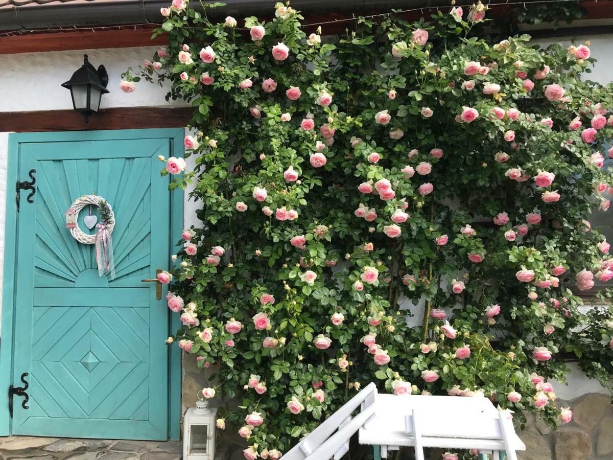 Casa Cu Suflet 호텔 시기쇼아라 외부 사진